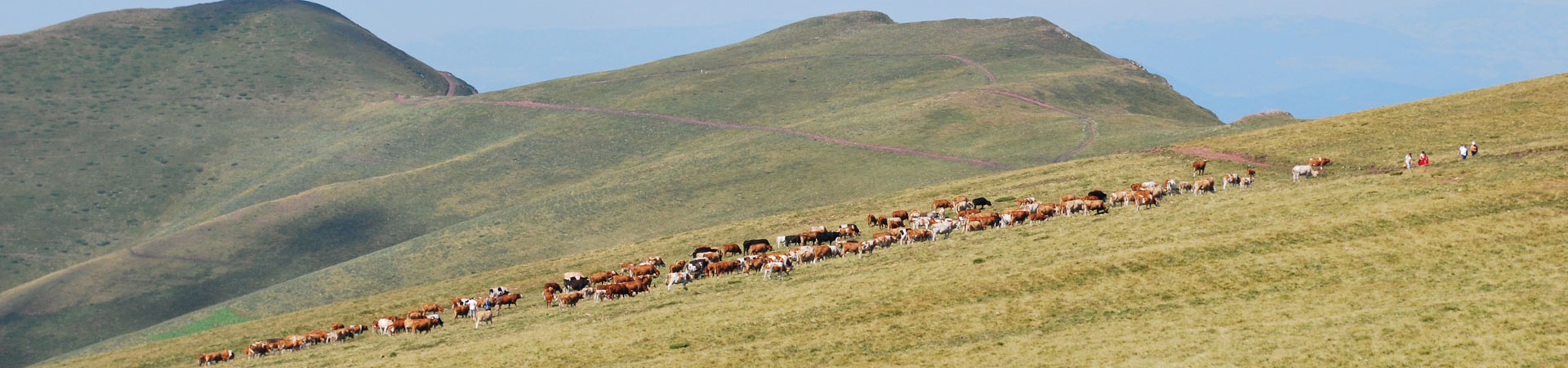 planina02