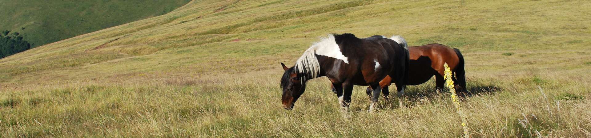planina03